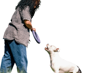 Educadora con perro blanco