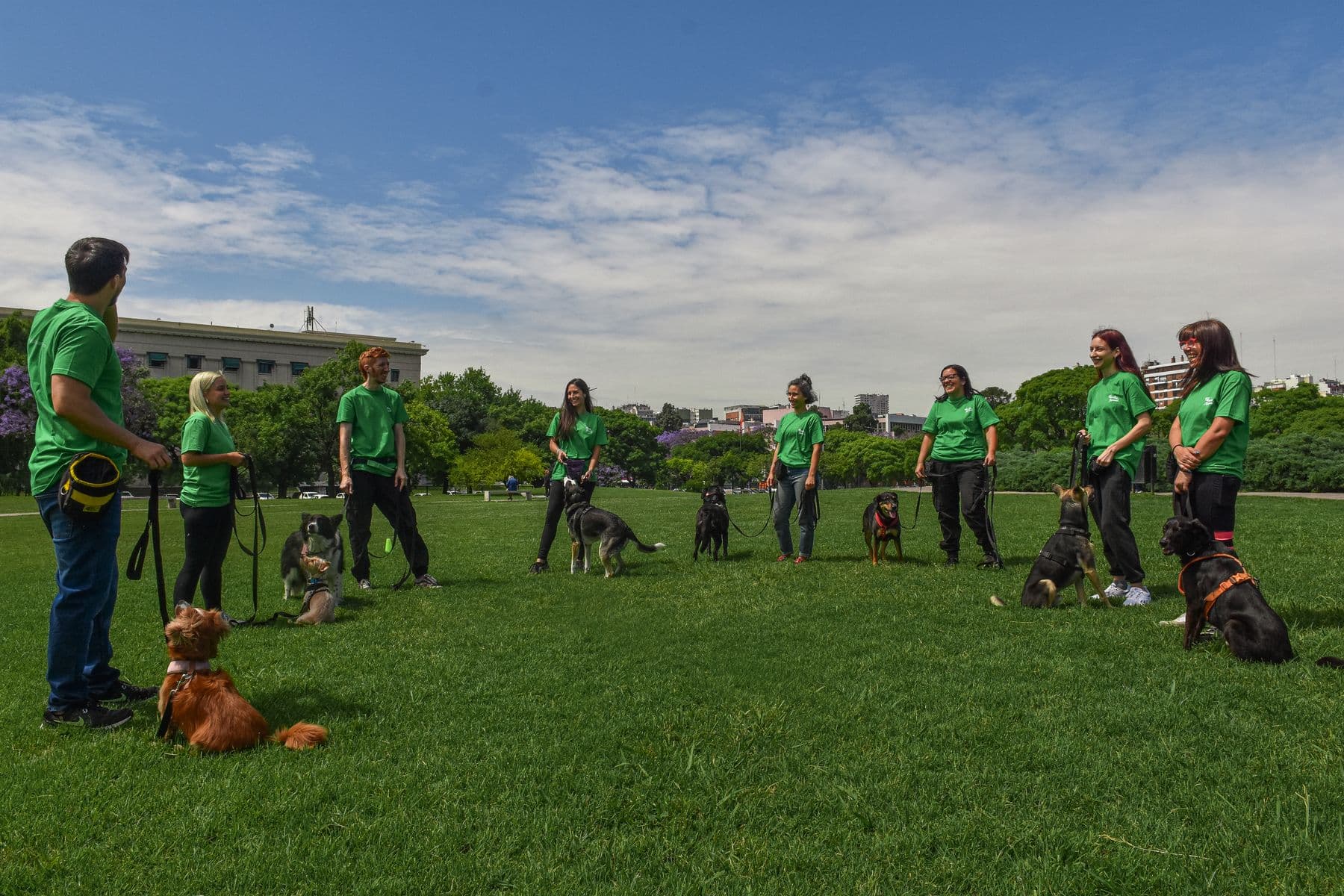 El equipo de Filosofía Animal entrenando con sus perros en el parque