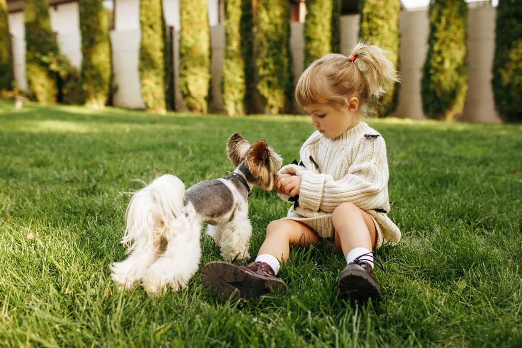 Actividades para niños y perros