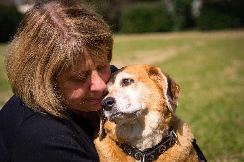 Cómo quitar el miedo a un perro maltratado