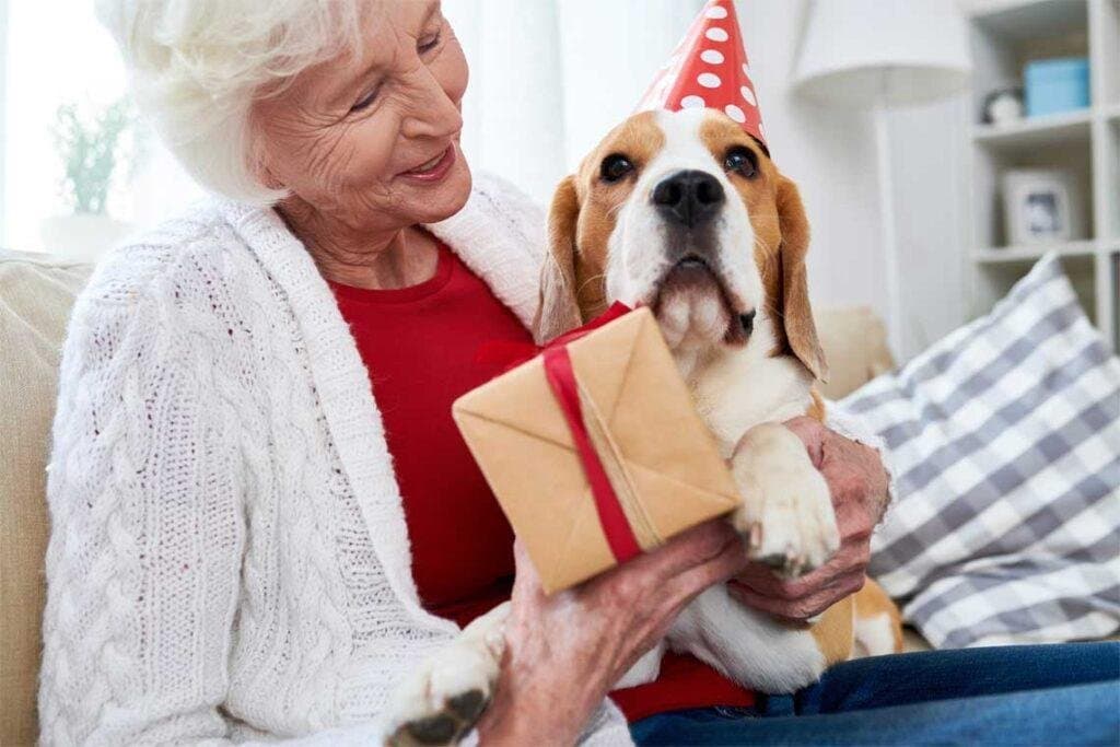 El vínculo humano-perro y sus beneficios