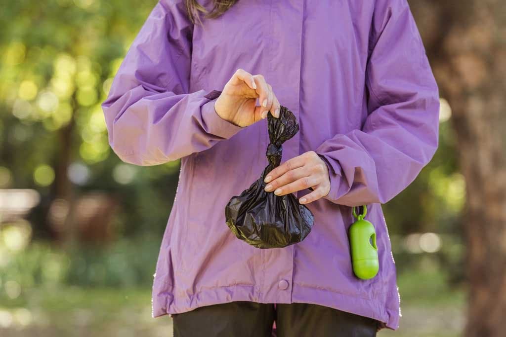 Heces normales o diarreas en perros