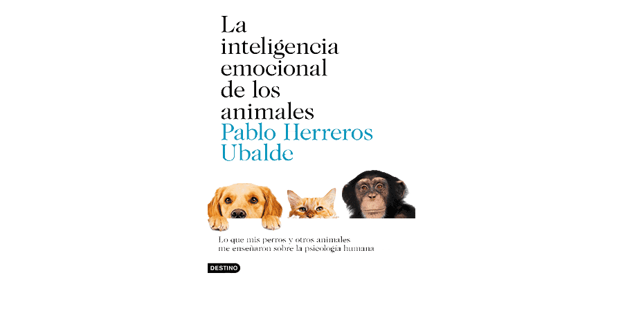 La inteligencia emocional de los animales