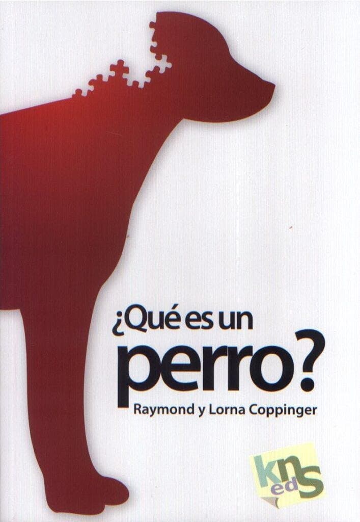 Leímos el libro «¿Qué es un perro?»