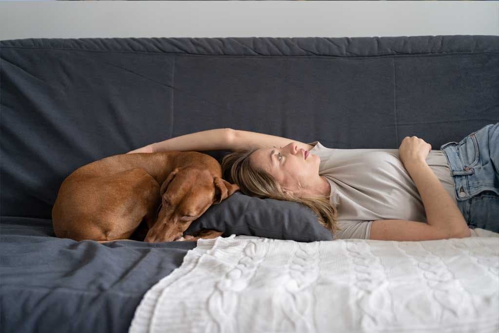 Mi perro está estresado