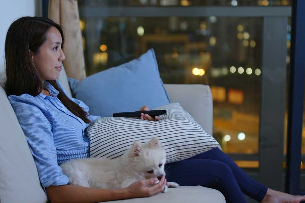 Mi perro ladra toda la noche