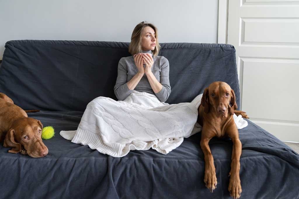 Mi perro me ataca sin razón