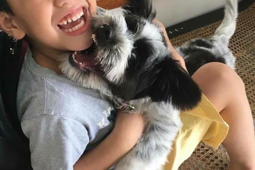 Mi perro muerde ¿Qué hago?