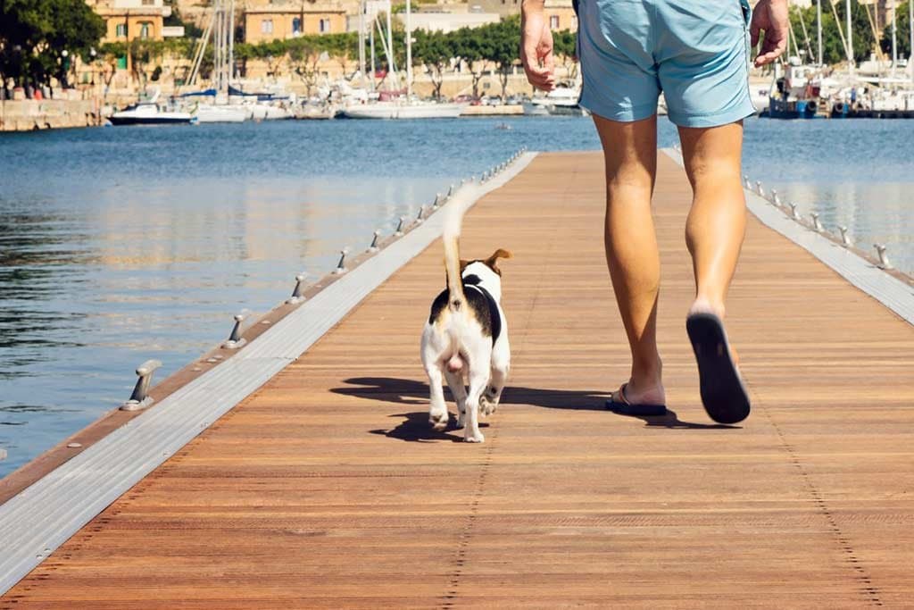 Pasear a mi perro sin correa