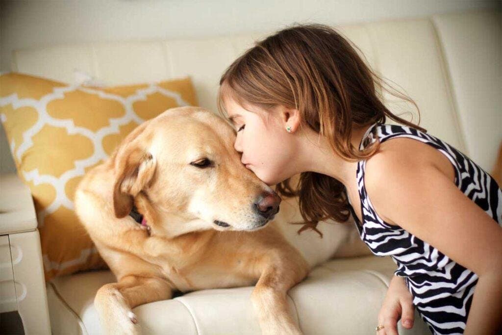 ¿Por qué nos interesamos por los animales? Biofilia