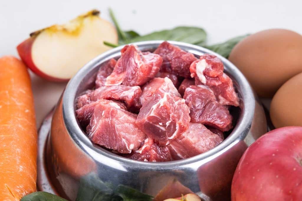 ¿Qué carnes pueden comer los perros?