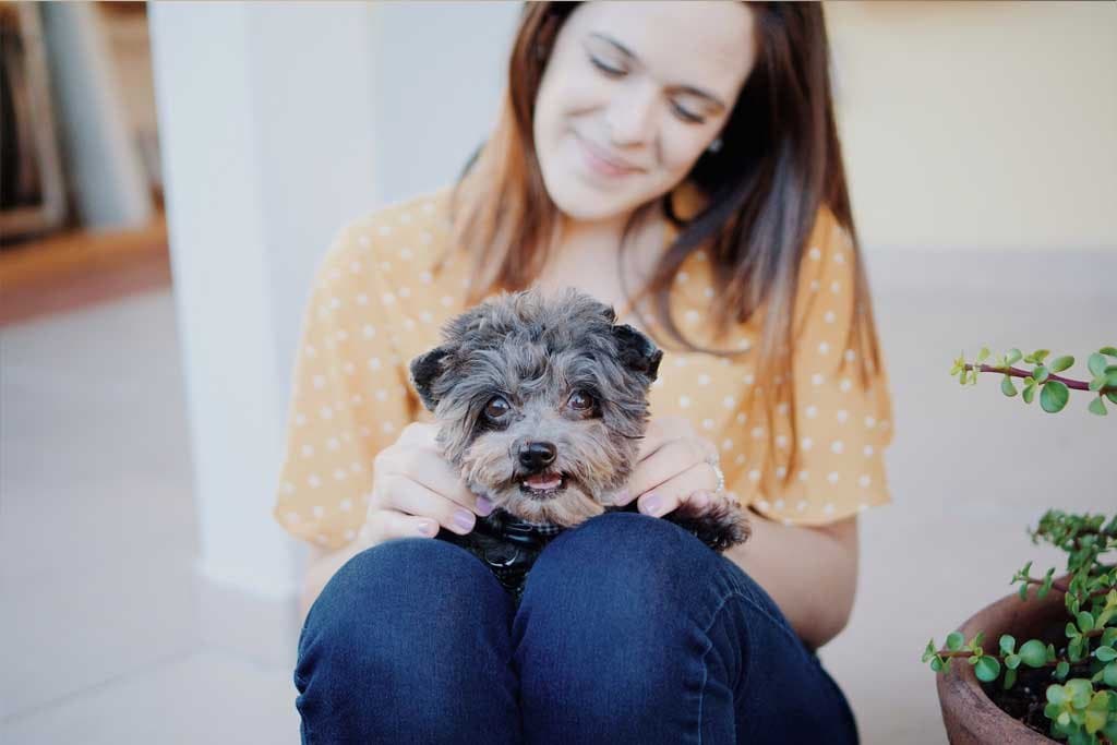 10 cosas que necesito saber antes de adoptar un cachorro