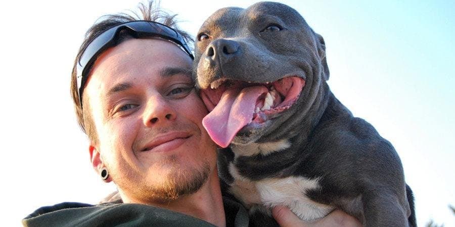 Robert llorente y la agresividad en perros